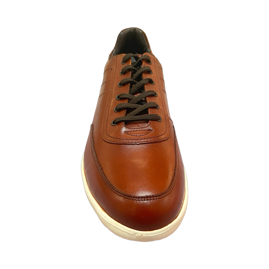 Tenis Caballero 102-G-9001 Shedron