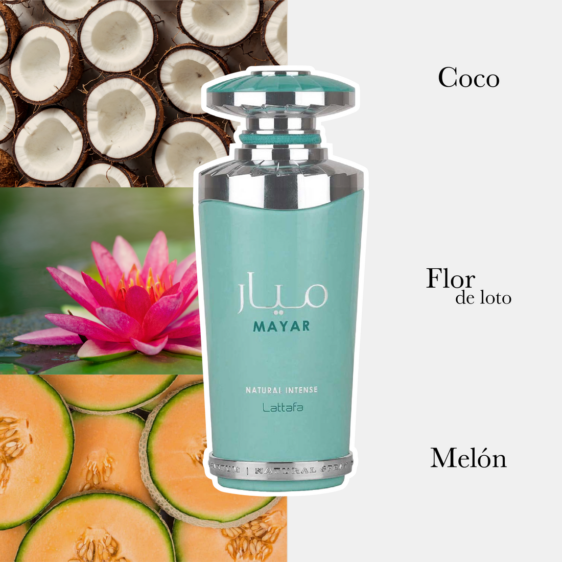 Mayar Natural Intense Edp Dama 100Ml