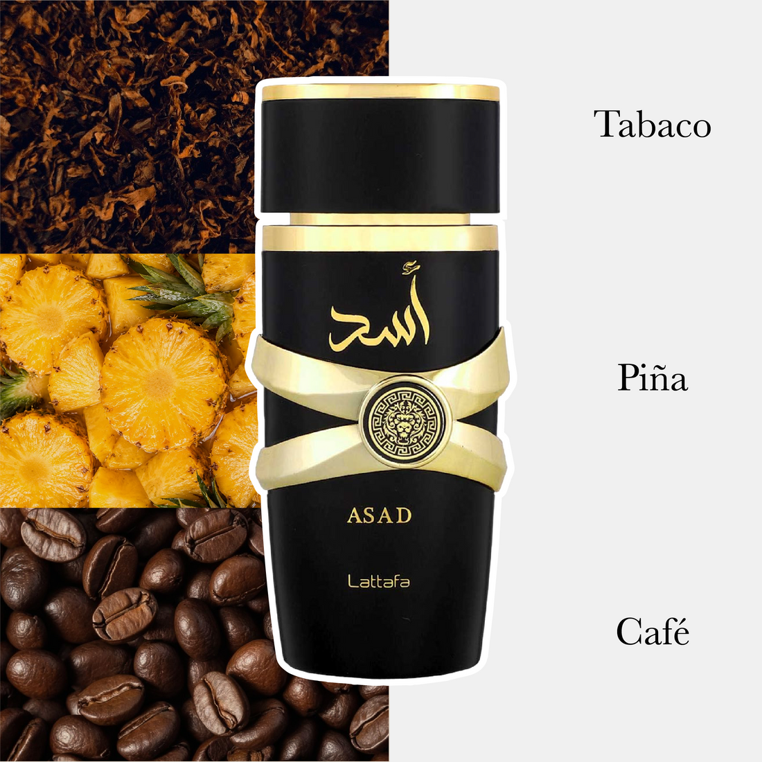 Asad Edp Caballero 100Ml