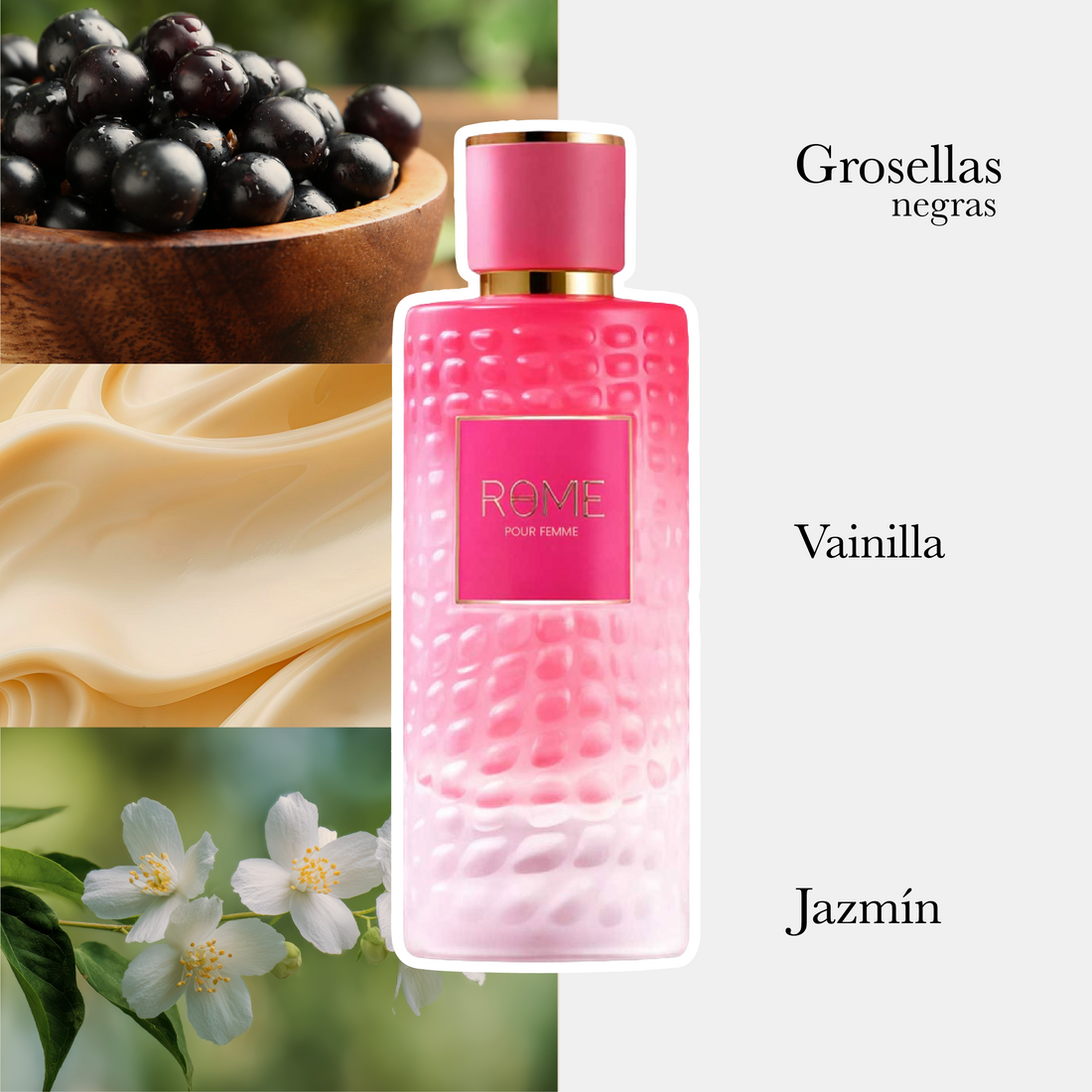 Rome Edp Dama 100Ml