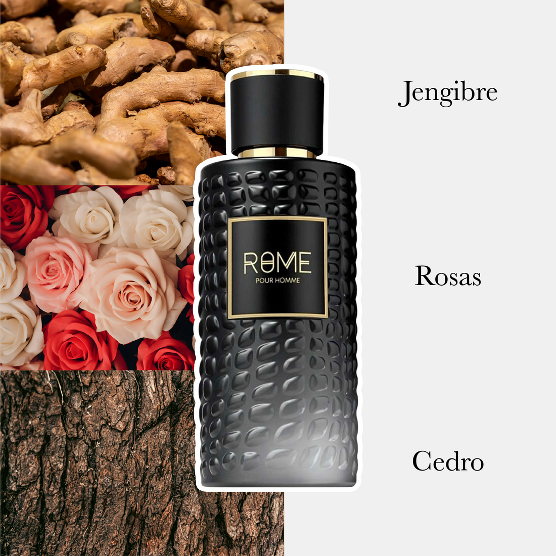 Rome Edp Caballero 100Ml