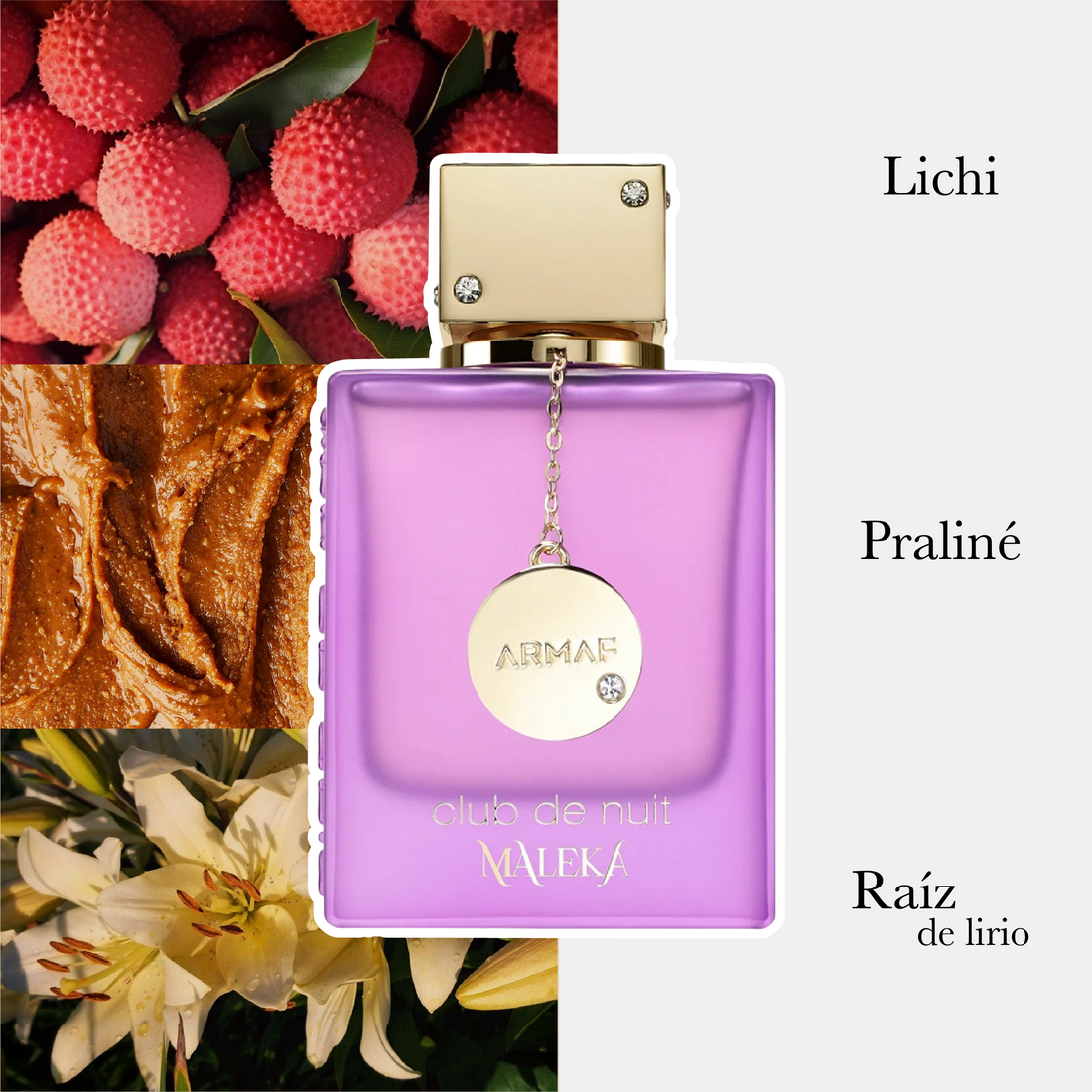 Club De Nuit Maleka Edp Dama 105Ml
