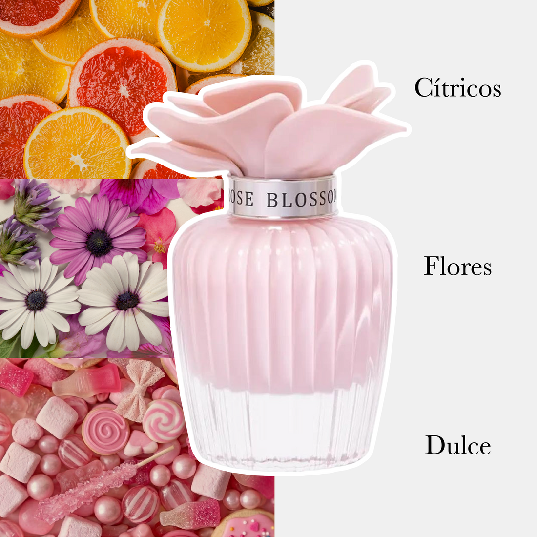Prime Nasma Rose Blossom Edp Unisex 100Ml