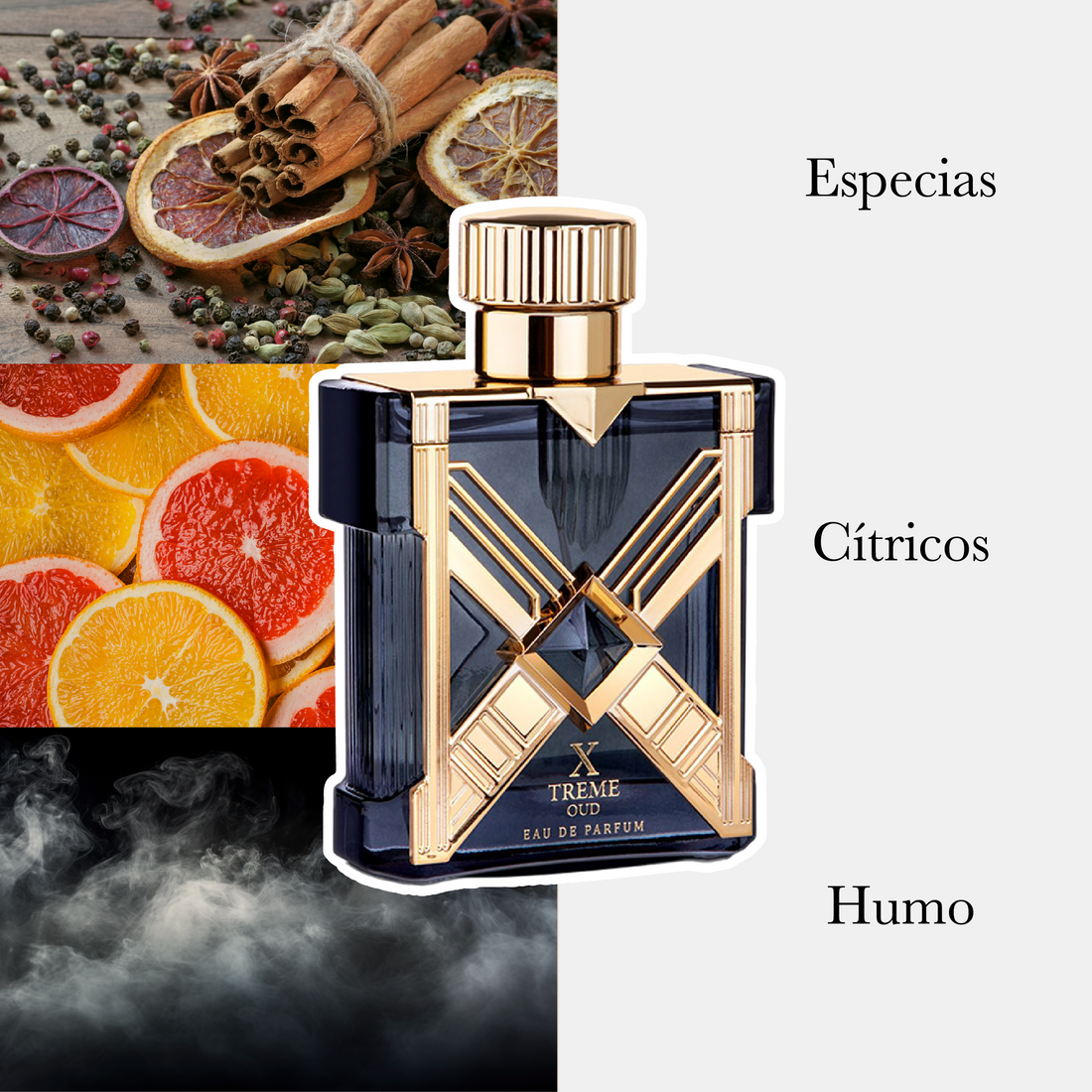 Prime X Treme Oud Edp Dama 100Ml