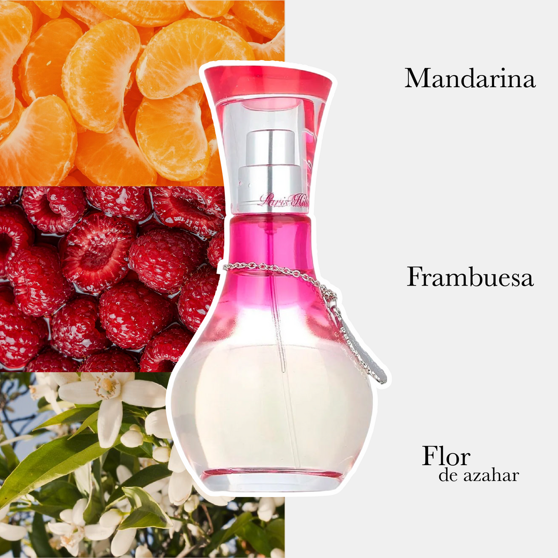 Can Can Burlesque Edp Dama 100Ml