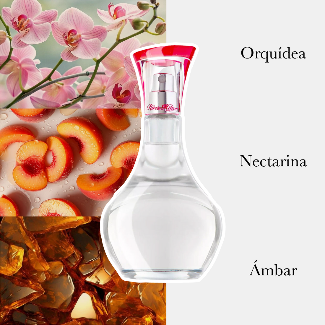 Can Can Edp Dama 100Ml