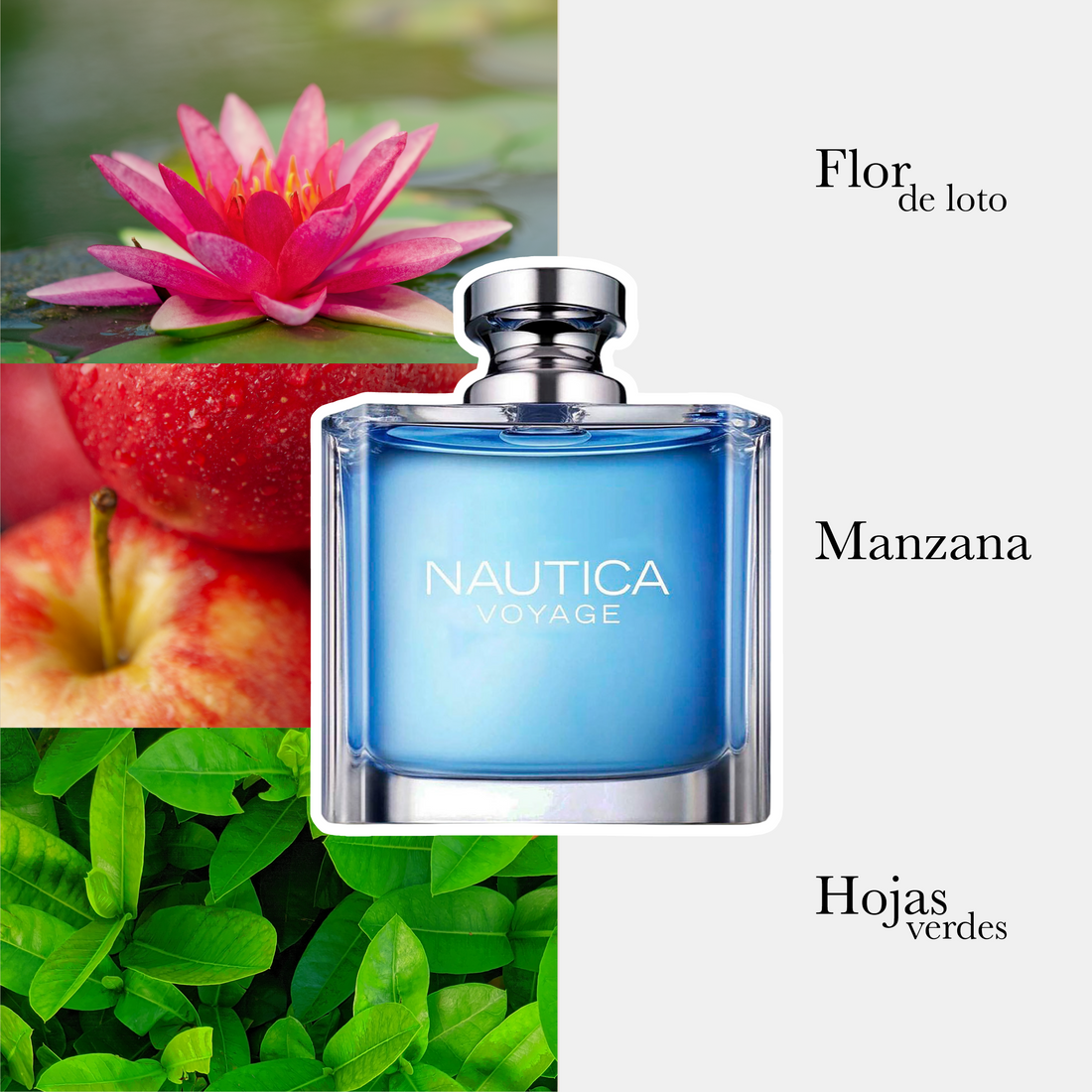 Voyage Edt Caballero 100Ml